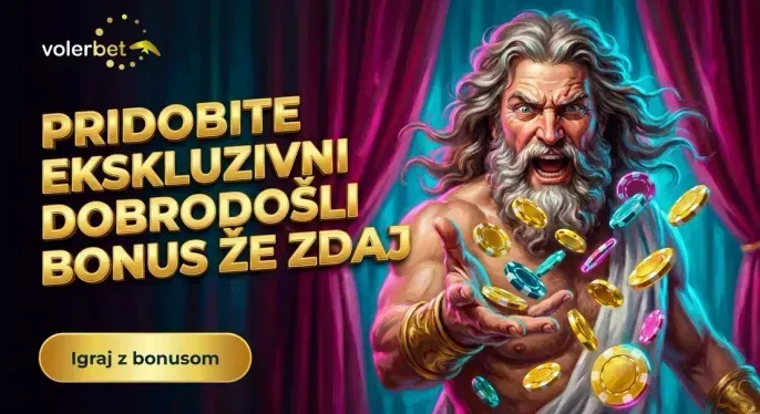 Volerbet Casino
